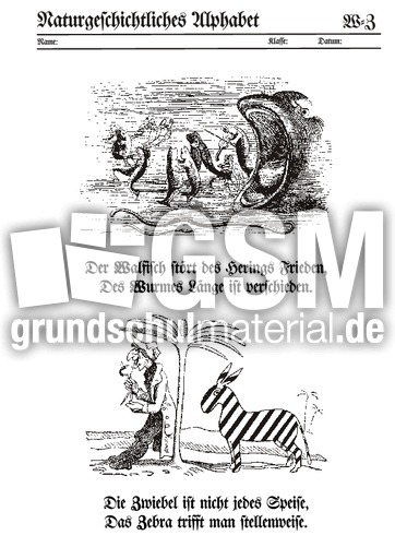 Alphabet Fraktur 12.pdf